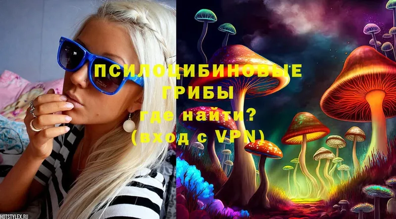 мега зеркало  Вилючинск  Галлюциногенные грибы Magic Shrooms 